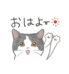 日常！表情豊かなねこたち（個別スタンプ：27）