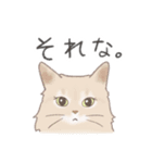 日常！表情豊かなねこたち（個別スタンプ：28）
