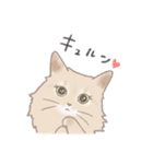 日常！表情豊かなねこたち（個別スタンプ：29）