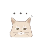 日常！表情豊かなねこたち（個別スタンプ：30）