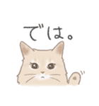 日常！表情豊かなねこたち（個別スタンプ：31）