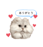コンくんスタンプ♡（個別スタンプ：1）