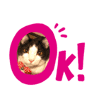 おーちゃん ❶（個別スタンプ：1）