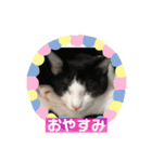 おーちゃん ❶（個別スタンプ：7）