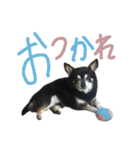 いもちんのぽてまる（個別スタンプ：3）