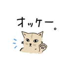 ぎーあのゆるねこスタンプ（個別スタンプ：6）
