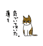 ぎーあのゆるねこスタンプ（個別スタンプ：7）