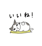 ぎーあのゆるねこスタンプ（個別スタンプ：12）