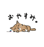 ぎーあのゆるねこスタンプ（個別スタンプ：23）