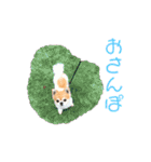 ちわわんスタン（個別スタンプ：17）