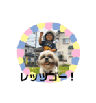 わんぱく坊主と犬（個別スタンプ：9）