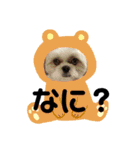 わんぱく坊主と犬（個別スタンプ：16）