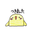 手描きの鳥スタンプ（個別スタンプ：12）
