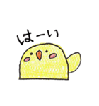 手描きの鳥スタンプ（個別スタンプ：20）