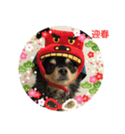 宙その①（個別スタンプ：4）