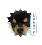 宙その①（個別スタンプ：7）