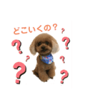 コアスタンプPart1（個別スタンプ：2）