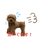 コアスタンプPart1（個別スタンプ：6）