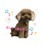 コアスタンプPart1（個別スタンプ：8）
