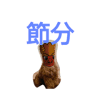 犬の便利スタンプ（個別スタンプ：12）