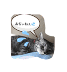 なつめさん2（個別スタンプ：3）