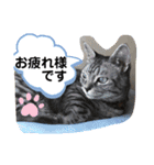 なつめさん2（個別スタンプ：5）