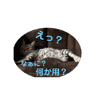なつめさん2（個別スタンプ：9）