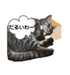 なつめさん2（個別スタンプ：33）