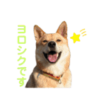 サカタ はなこ もずく よく使うやつ 2（個別スタンプ：10）