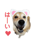 サカタ はなこ もずく よく使うやつ 2（個別スタンプ：32）