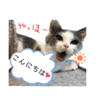 愉快なニャンず②(=^x^=)（個別スタンプ：2）