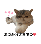 愉快なニャンず②(=^x^=)（個別スタンプ：5）