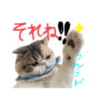 愉快なニャンず②(=^x^=)（個別スタンプ：11）