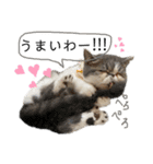 愉快なニャンず②(=^x^=)（個別スタンプ：23）