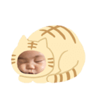 こどもスタンプ taro（個別スタンプ：1）