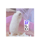 もぐくん（個別スタンプ：3）