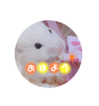 もぐくん（個別スタンプ：5）