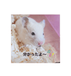 もぐくん（個別スタンプ：7）