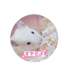 もぐくん（個別スタンプ：8）