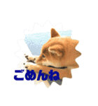 柴犬林檎のスタンプ（個別スタンプ：2）