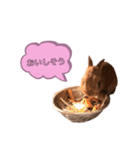 キュートラッキーちゃん（個別スタンプ：2）