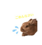キュートラッキーちゃん（個別スタンプ：6）