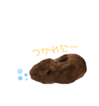 キュートラッキーちゃん（個別スタンプ：7）