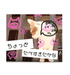 にゃんばシリーズ2（個別スタンプ：6）