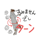 にゃんばシリーズ2（個別スタンプ：8）