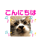 こもじろう♪4（個別スタンプ：4）
