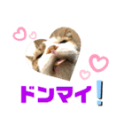 こもじろう♪4（個別スタンプ：12）