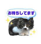 こもじろう♪4（個別スタンプ：15）