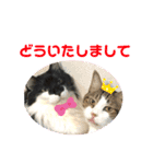 こもじろう♪4（個別スタンプ：17）