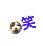 こもじろう♪4（個別スタンプ：18）